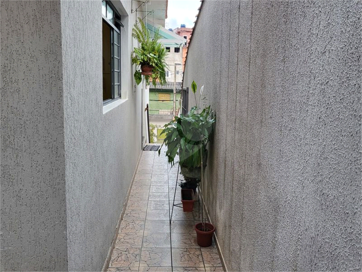 Foto REO1078661