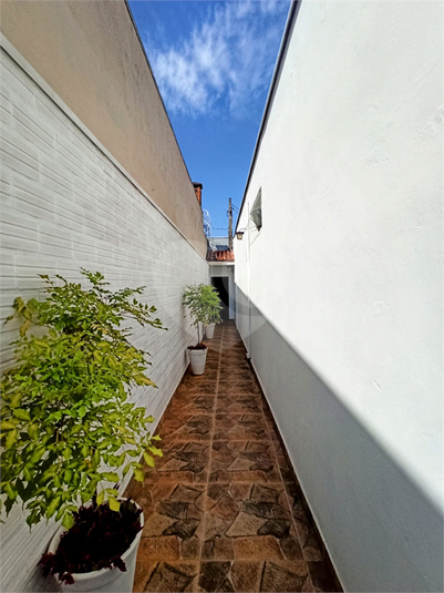 Foto REO1078663