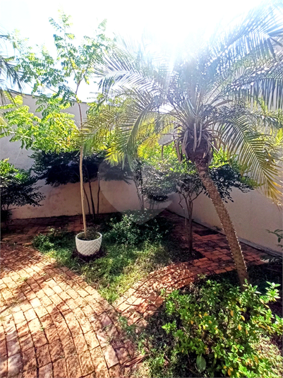 Foto REO1078663