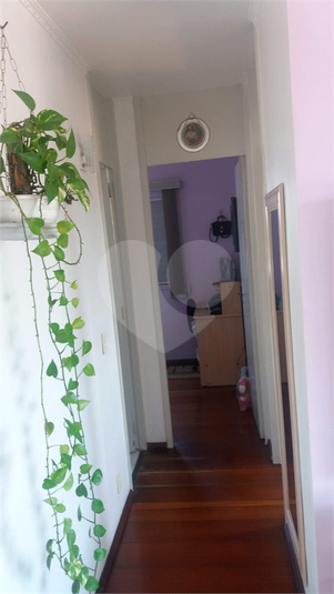 Foto REO1078671
