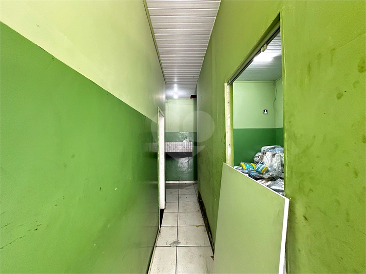 Foto REO1078690