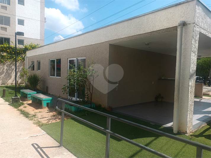 Foto REO1078695