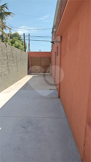 Foto REO1078713