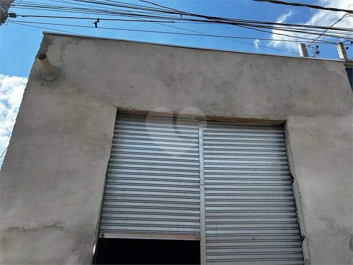 Foto REO1078722