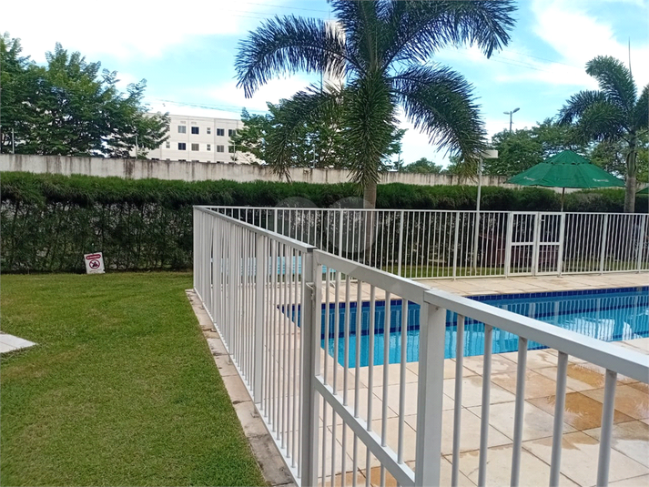 Foto REO1078735