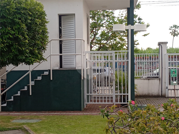 Foto REO1078735