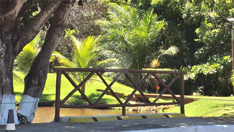 Foto REO1078737