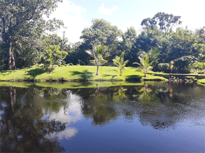 Foto REO1078737
