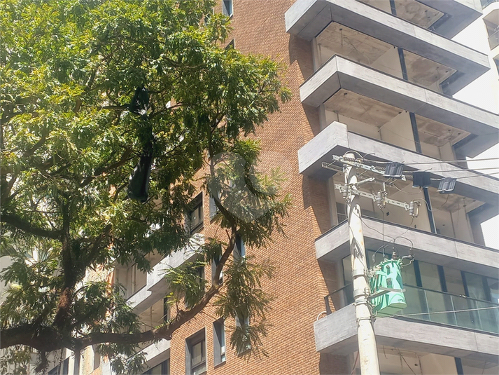 Foto REO1078747