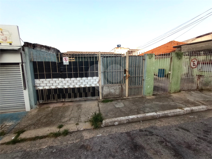 Foto REO1078759