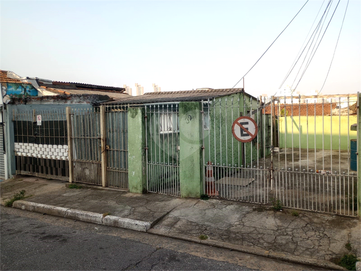 Foto REO1078759