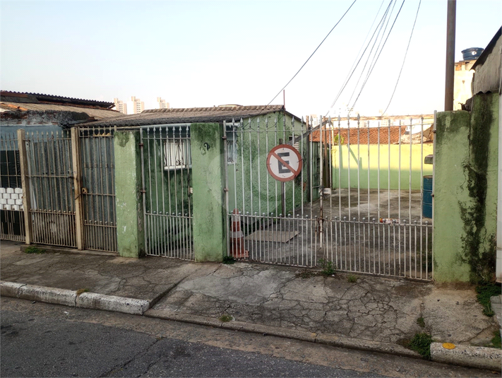 Foto REO1078759
