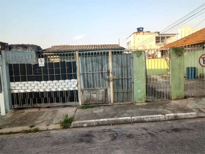 Foto REO1078759