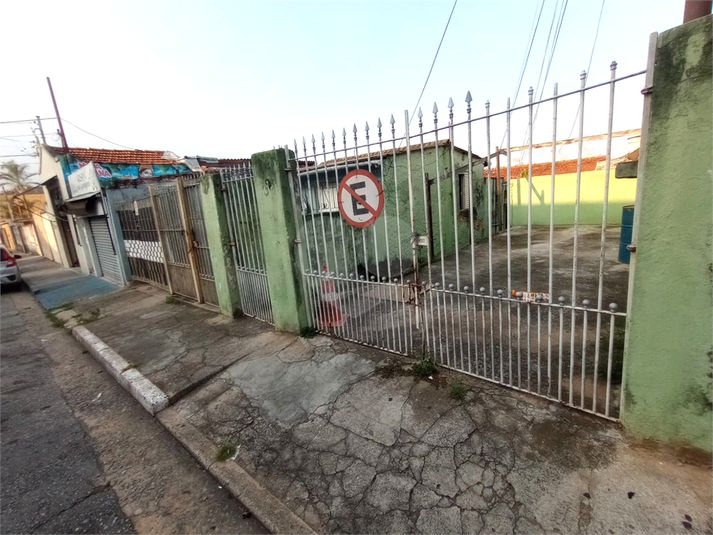 Foto REO1078759