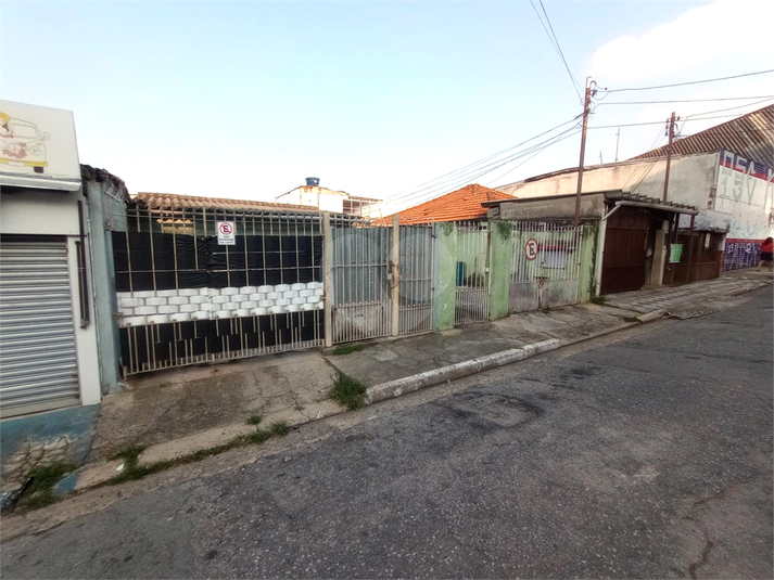 Foto REO1078759