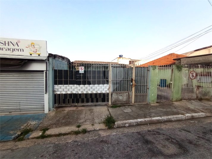 Foto REO1078759