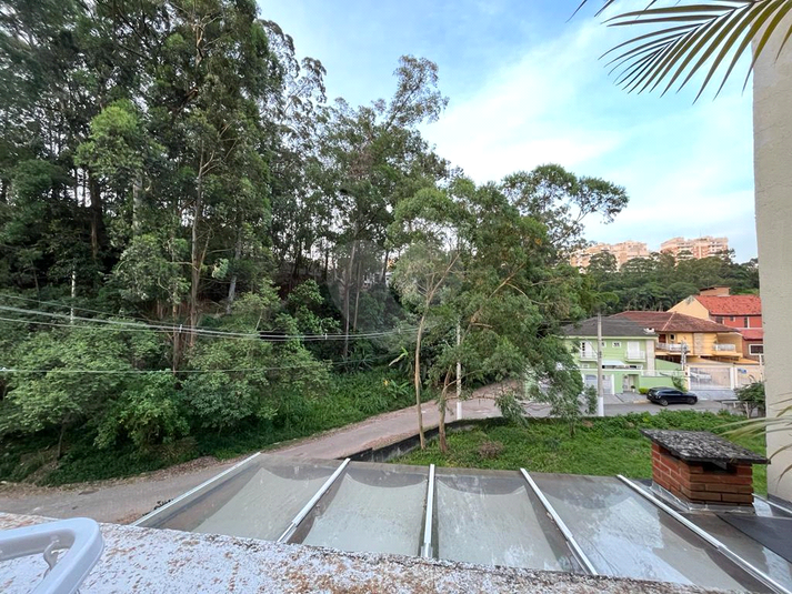 Foto REO1078788