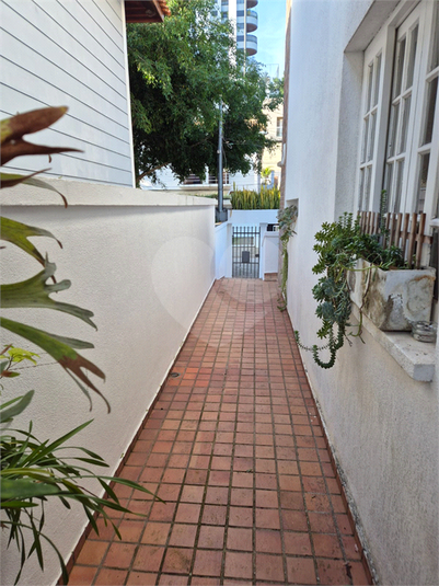 Foto REO1078788