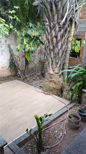 Foto REO1078816