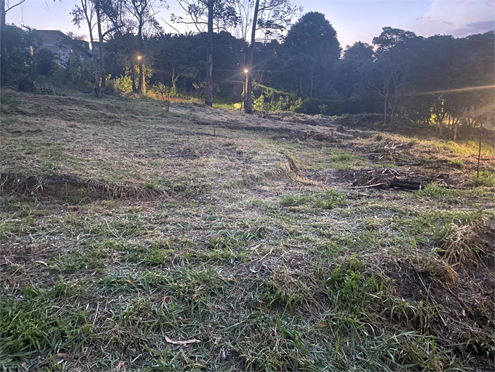 Foto REO1078826
