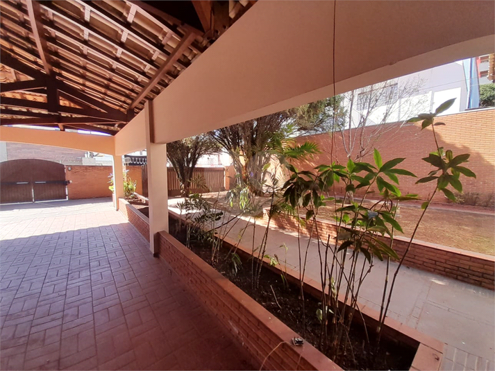 Foto REO1078837