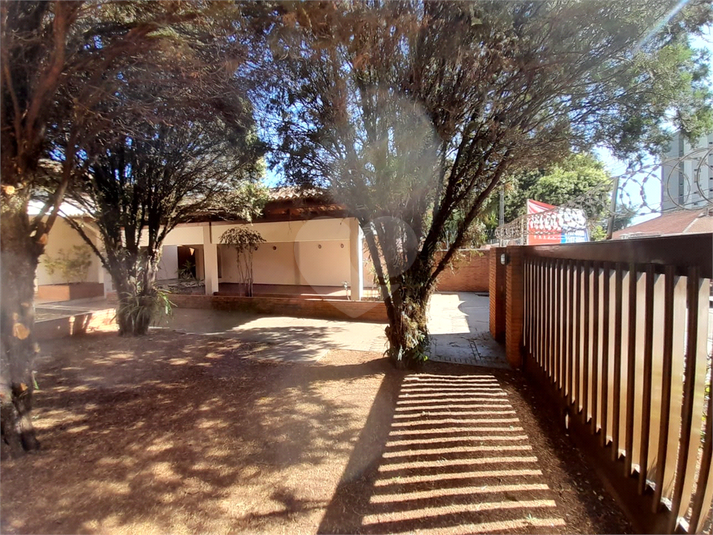 Foto REO1078837