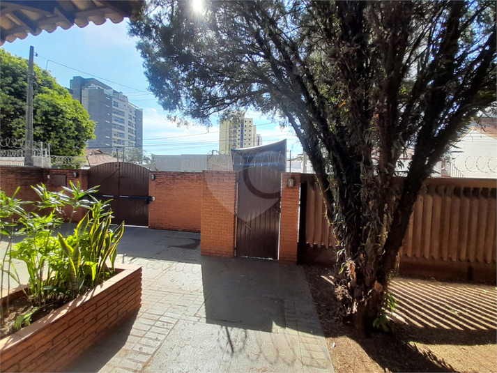 Foto REO1078837