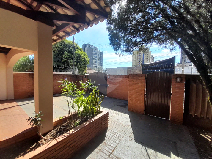 Foto REO1078837