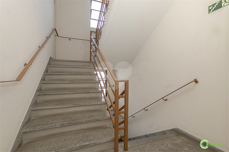 Foto REO1078845