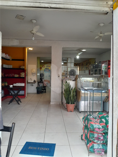 Foto REO1078852