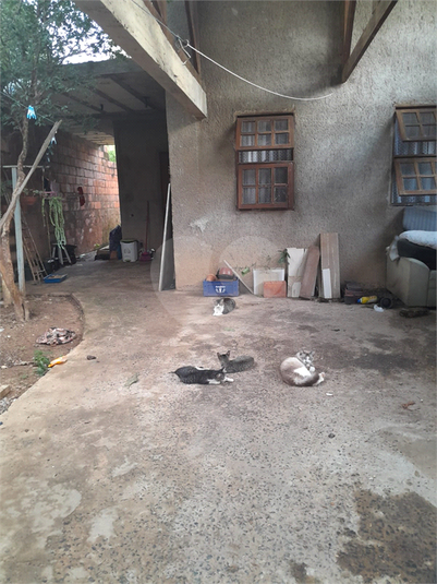 Foto REO1078862