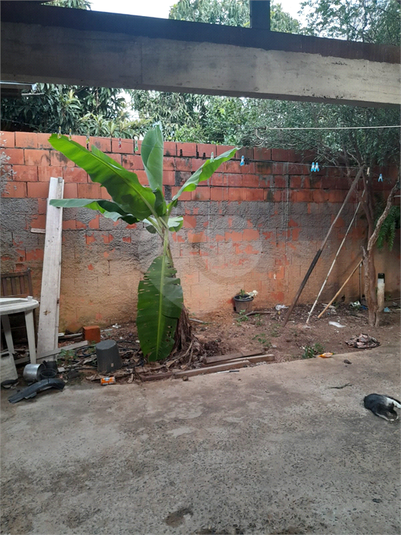 Foto REO1078862