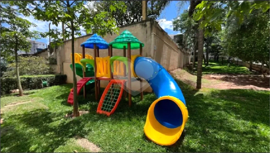 Foto REO1078872