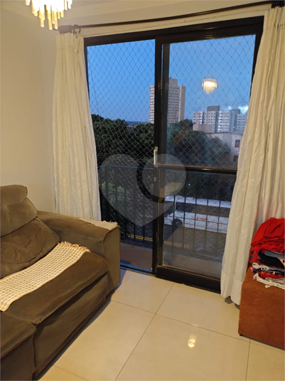 Foto REO1078879