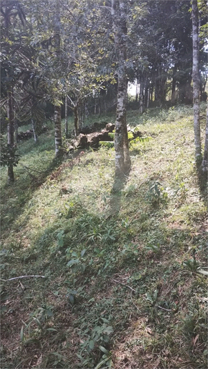 Foto REO1078887
