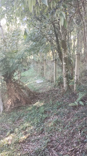 Foto REO1078887