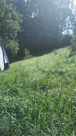 Foto REO1078887