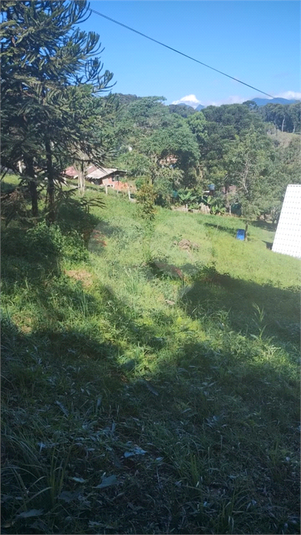 Foto REO1078887