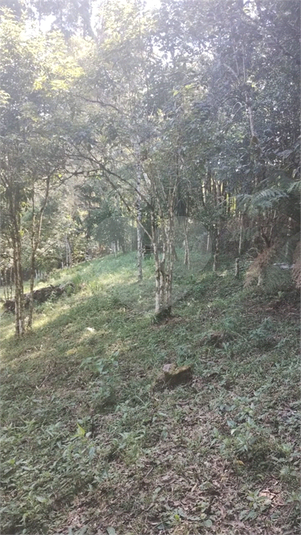 Foto REO1078887