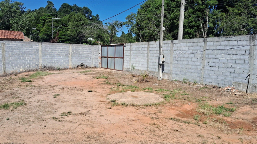 Foto REO1078893