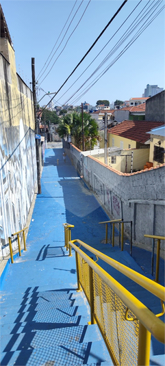 Foto REO1078898