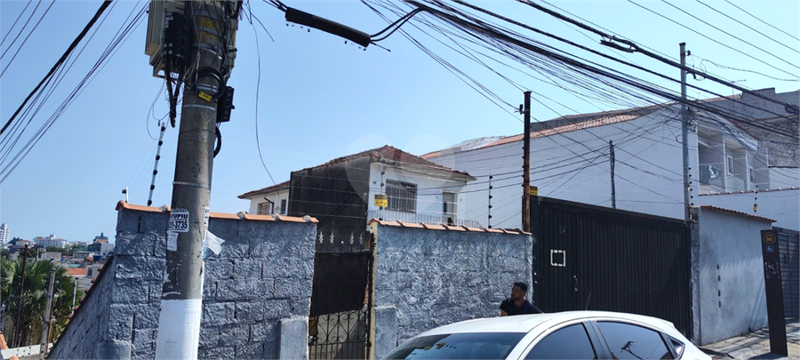 Foto REO1078898