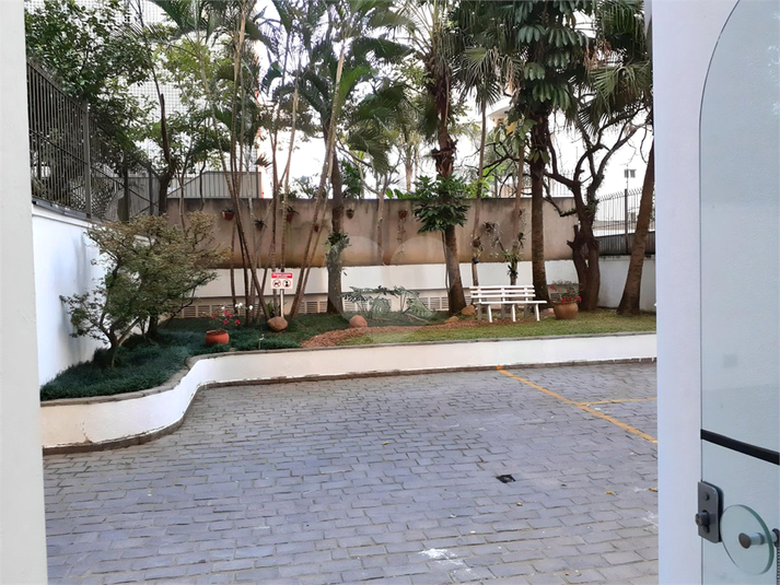 Foto REO1078903