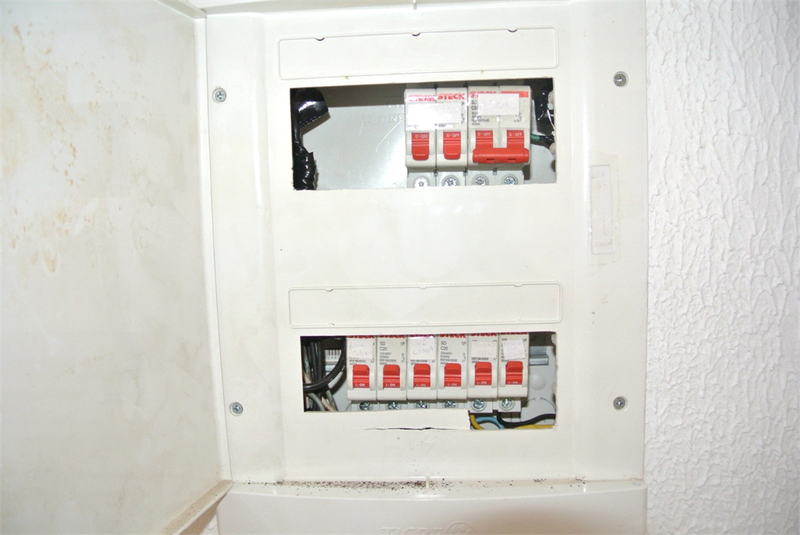 Foto REO1078909