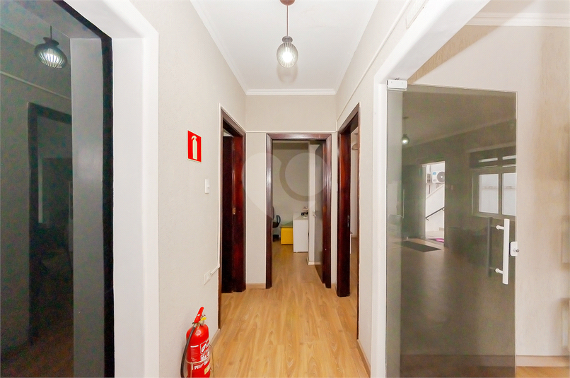 Foto REO1078911