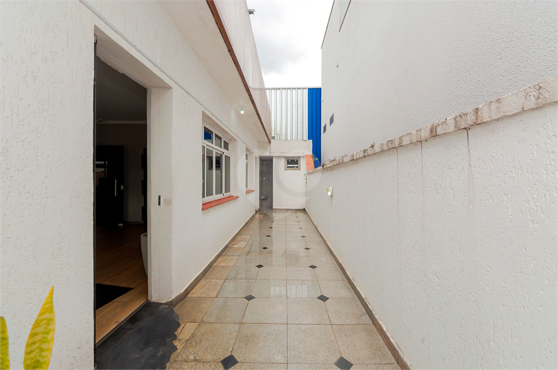 Foto REO1078911