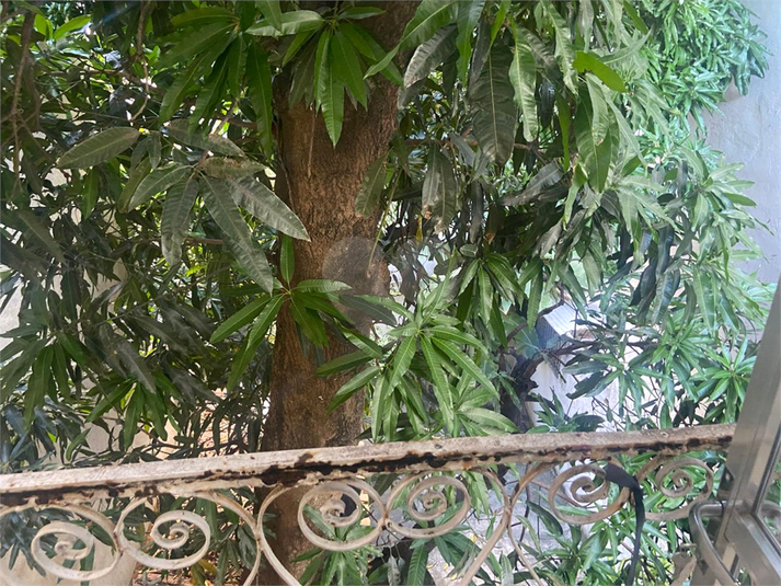 Foto REO1078918