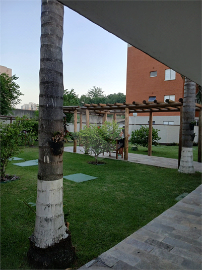 Foto REO1078922