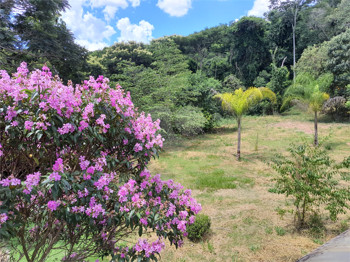 Foto REO1078926