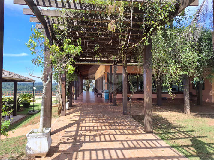 Foto REO1078926
